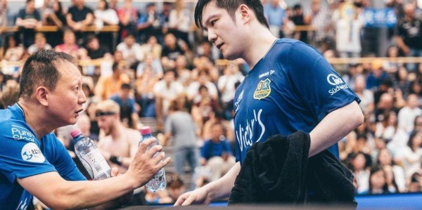 樊振东德甲立大功，俱乐部飙升至第3距榜首仅差2分，东哥周二再战